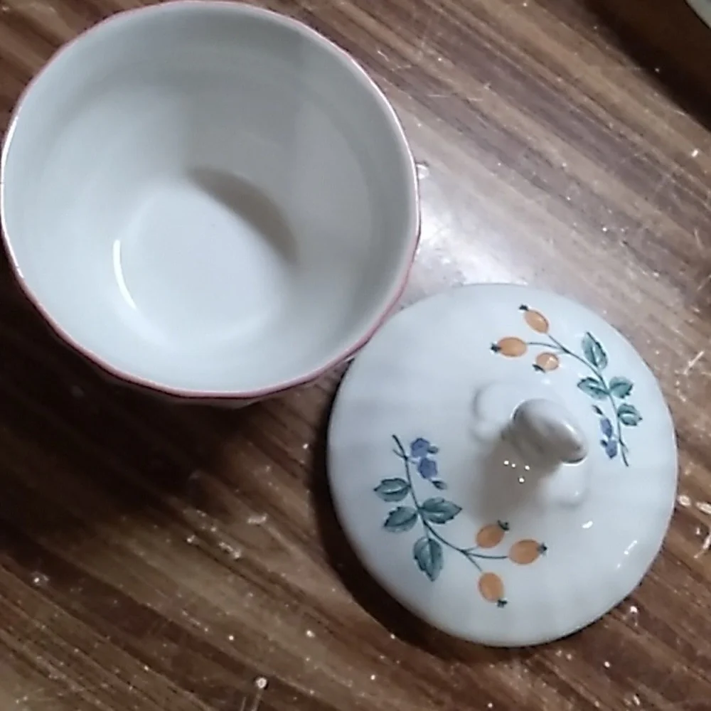 Churchill England Briar Rose creamer sugar salt pepper gravy boat cups
